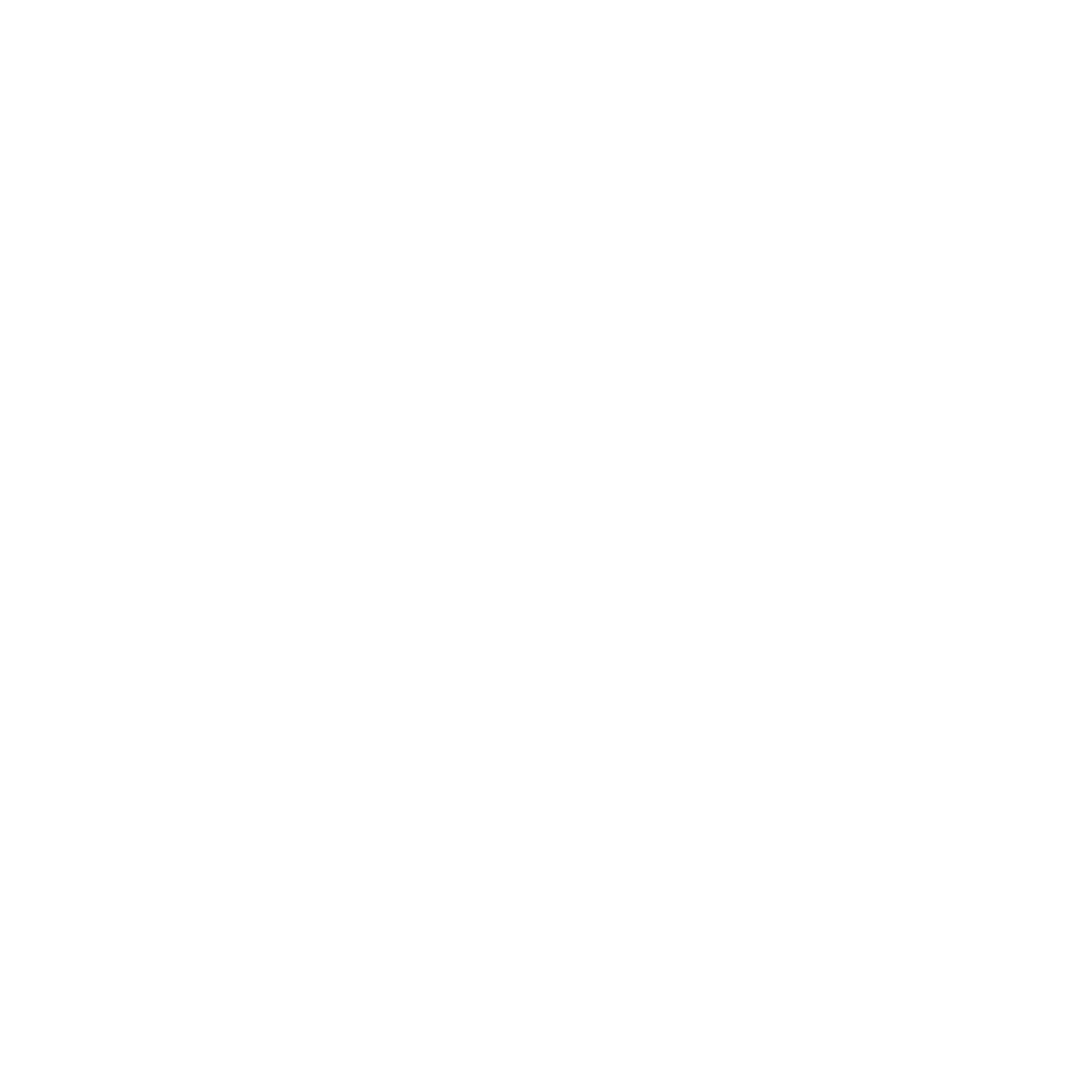 BCP Council icons white_flag 2_solid