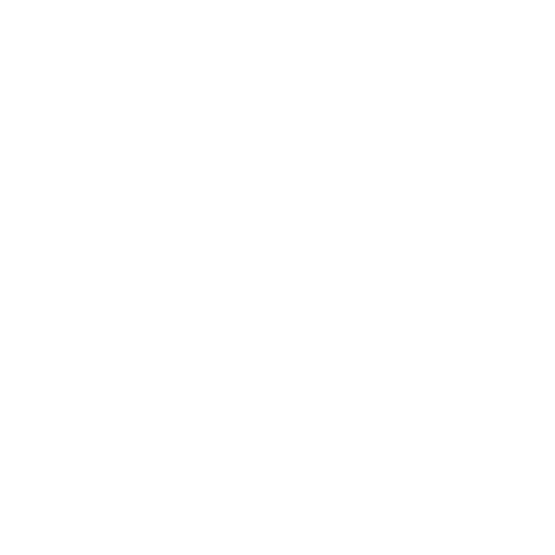 BCP Council icons white_internet_solid